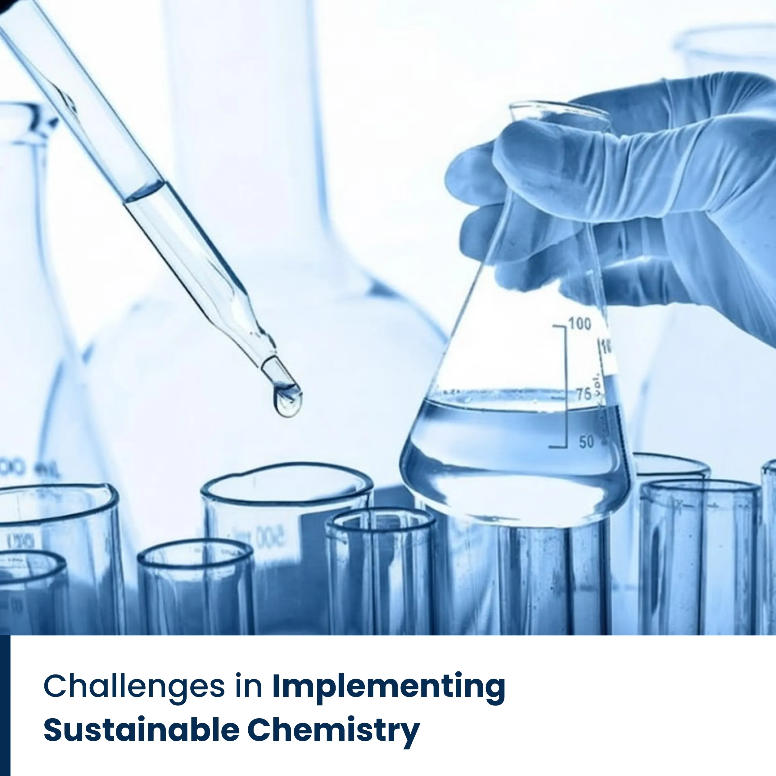 Challenges in Implementing Sustainable Chemistry